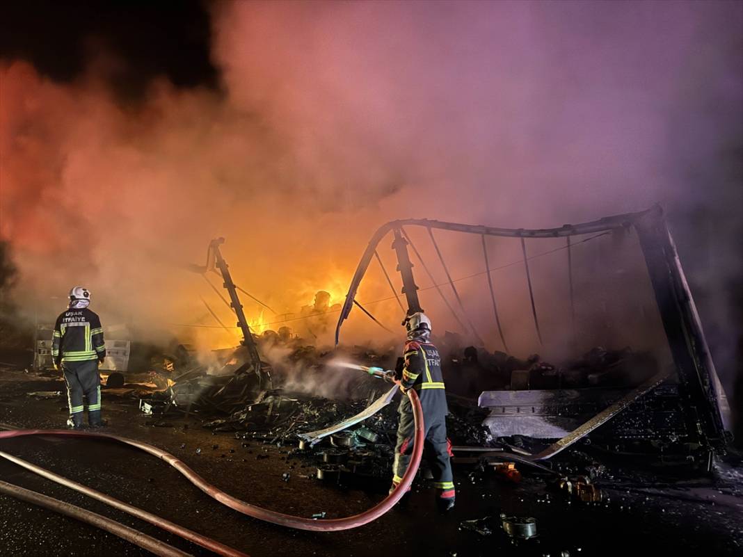 TIR yandı, alevler ağaçlara sıçradı 8